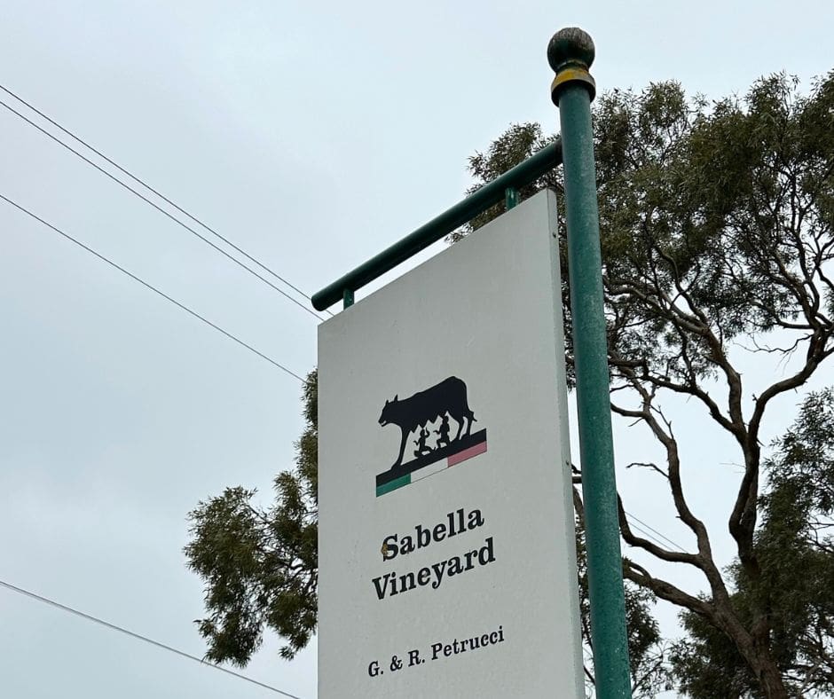 Discovering Italian Heritage in McLaren Vale – St Aloysius College Adelaide