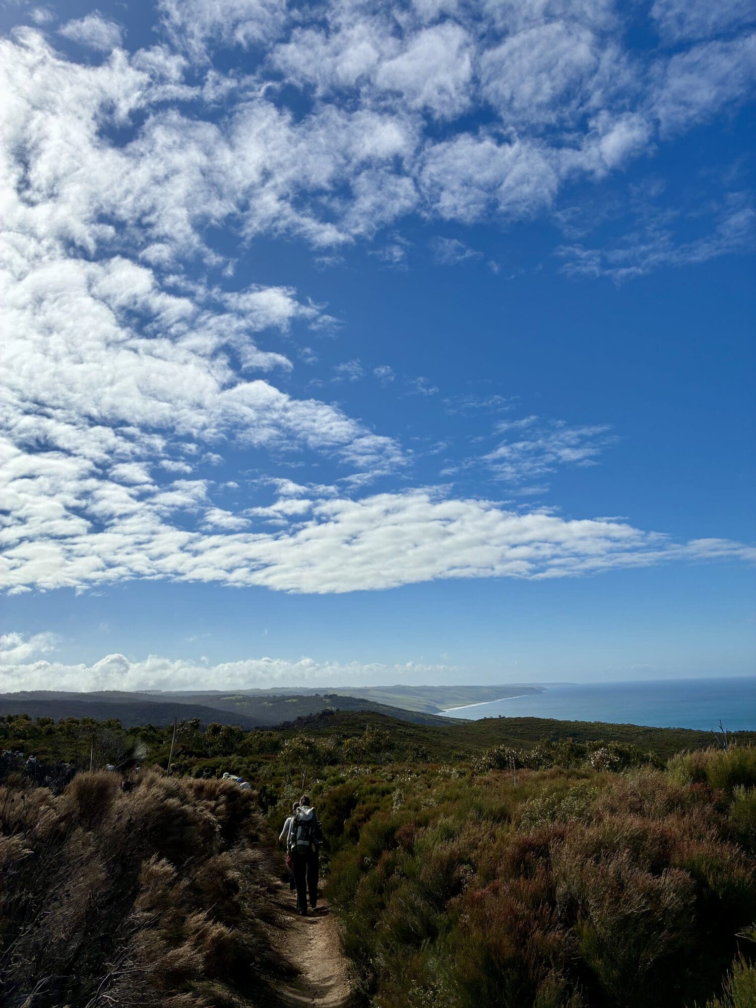 Trekking Through Deep Creek! – St Aloysius College Adelaide