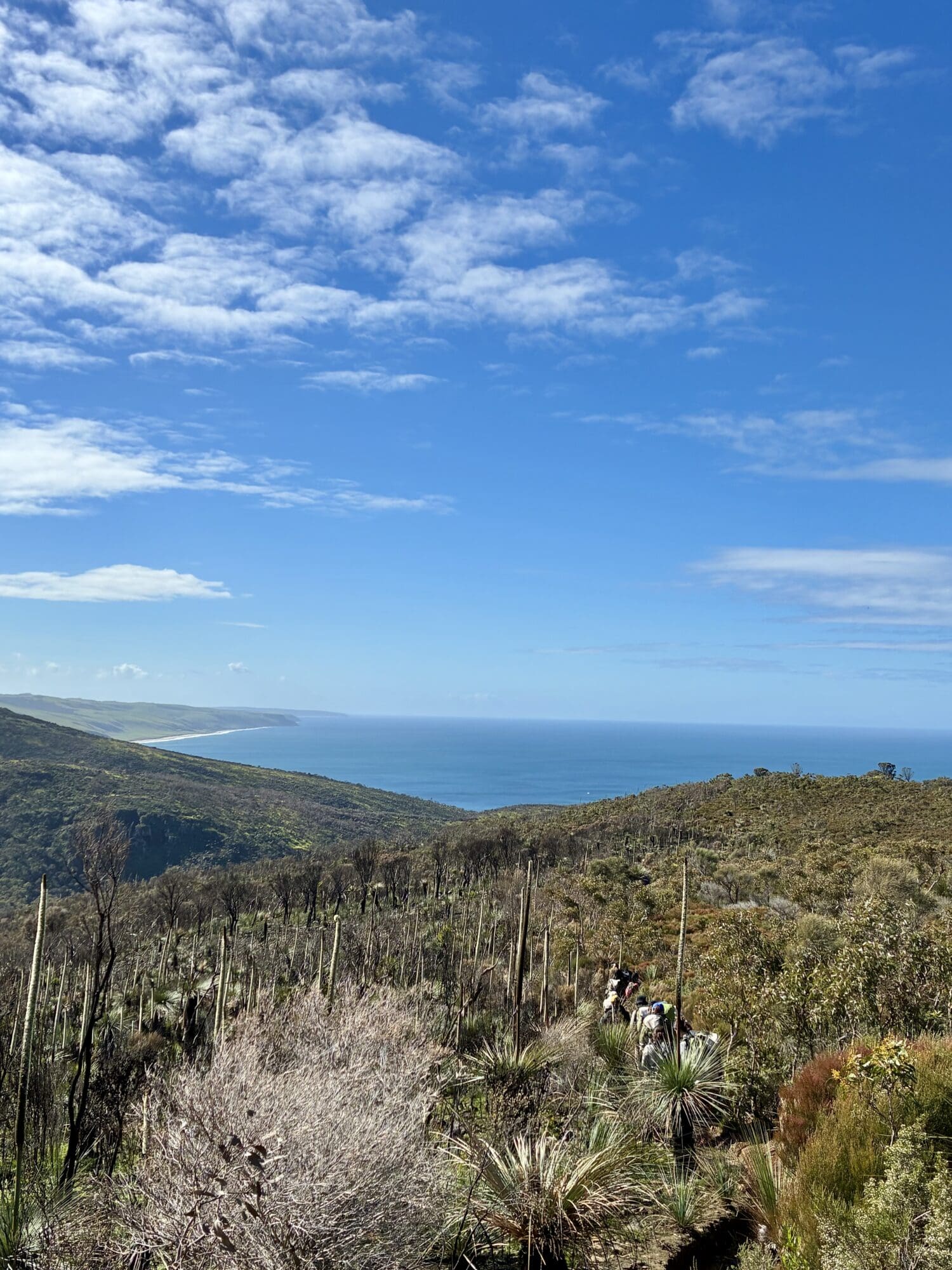 Trekking Through Deep Creek! – St Aloysius College Adelaide