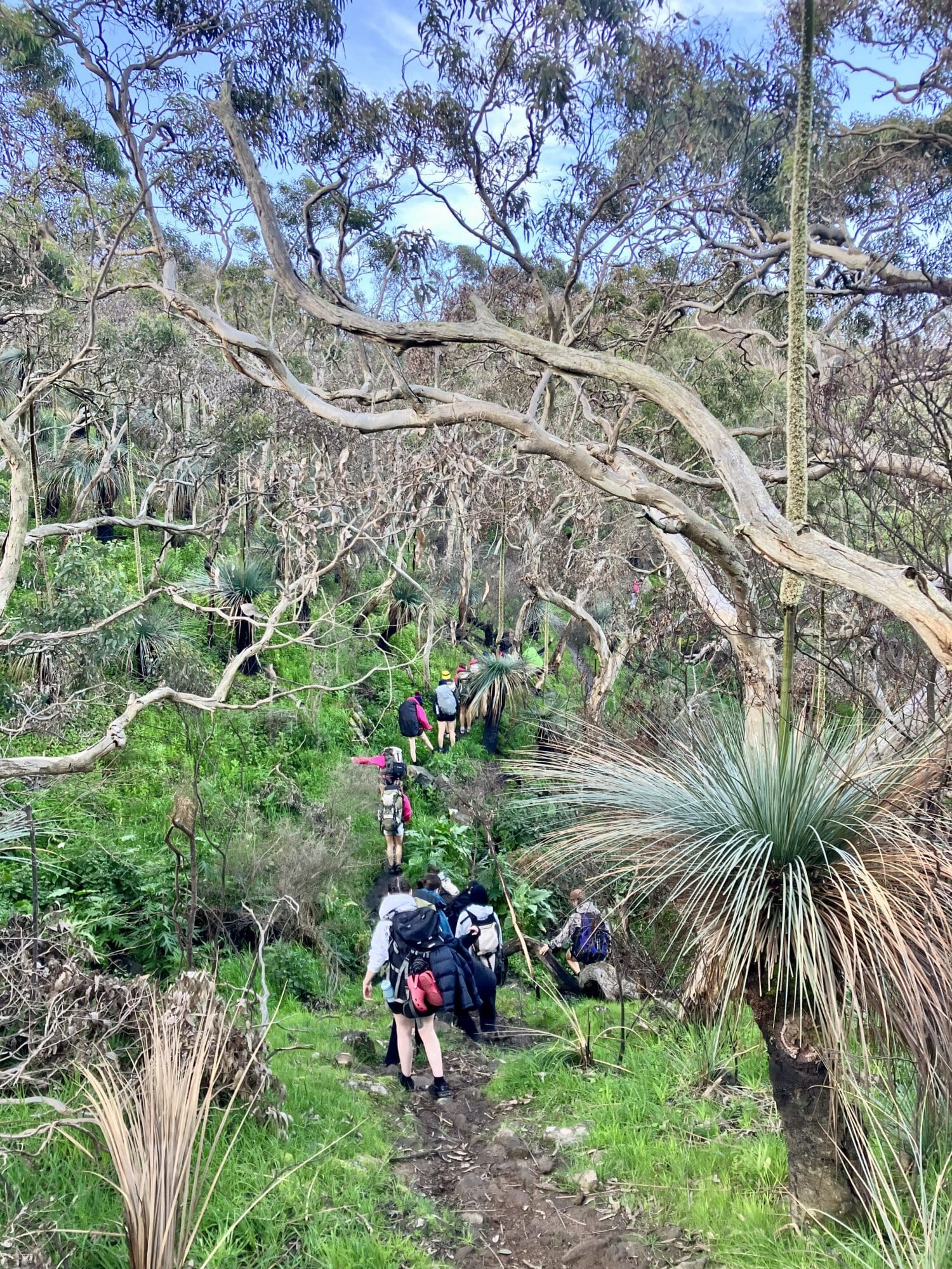 Trekking Through Deep Creek! – St Aloysius College Adelaide