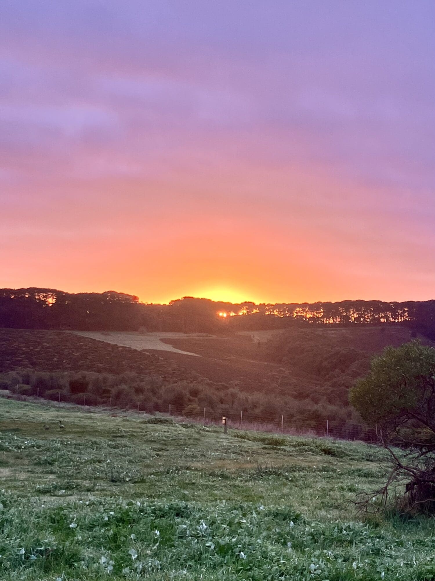 Trekking Through Deep Creek! – St Aloysius College Adelaide