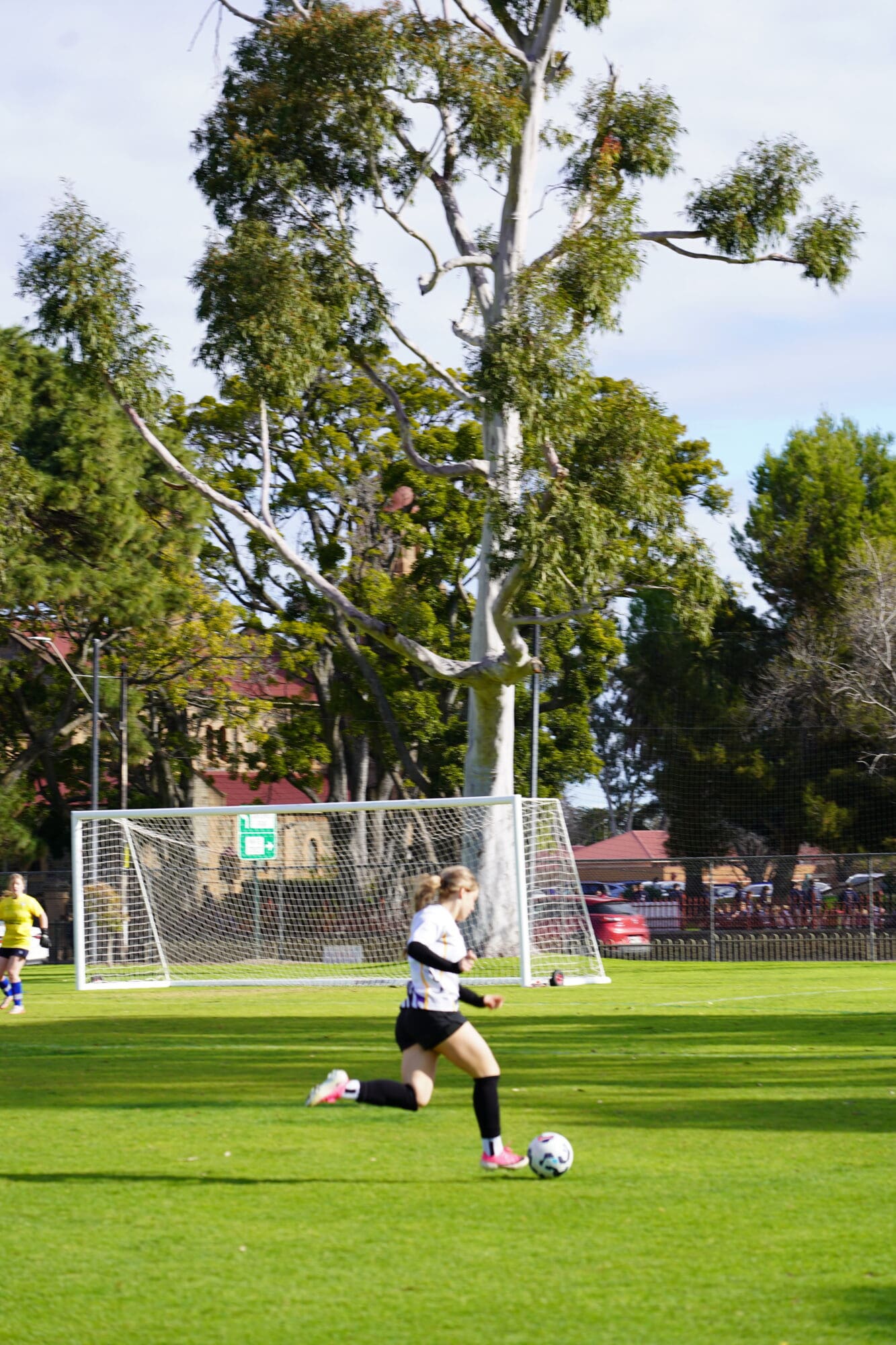 From the Secondary Sport Coordinator – St Aloysius College Adelaide